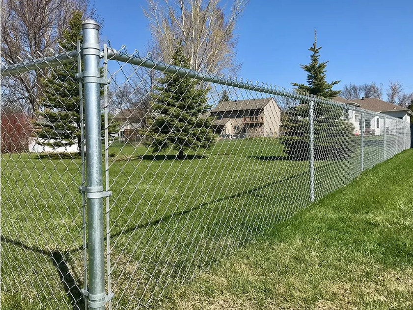 Chain Link Fence